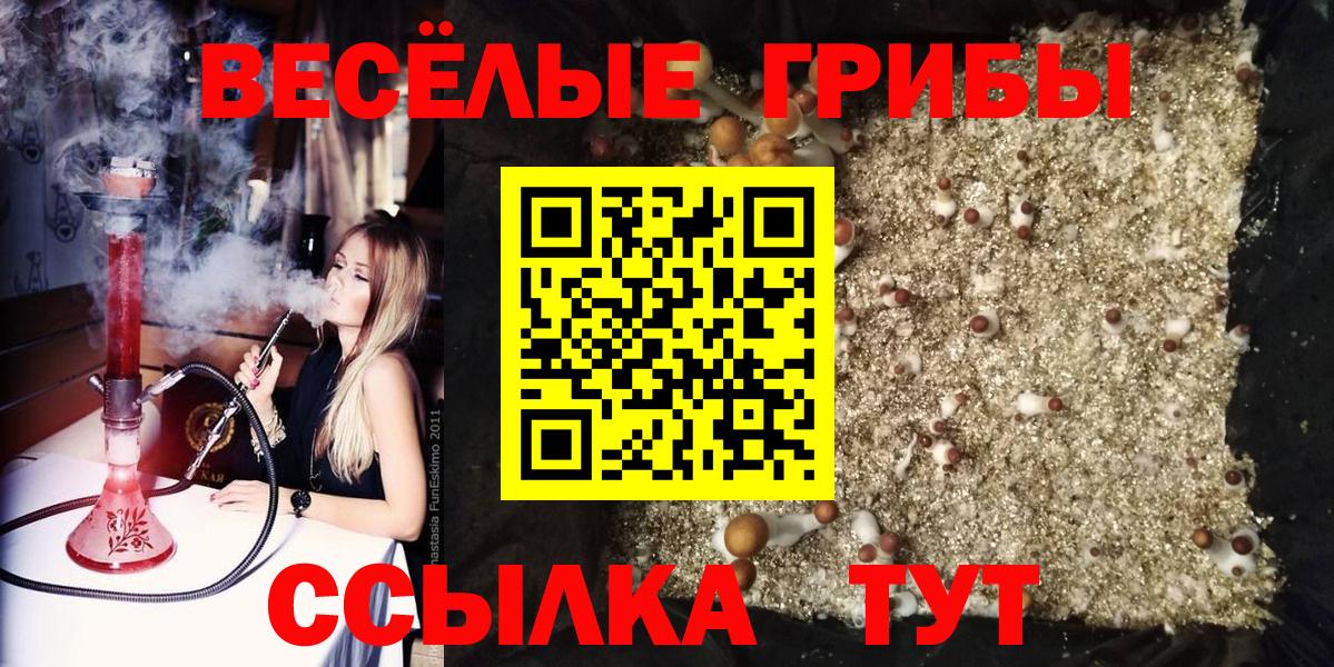 Псилоцибиновые грибы прущие грибы Клинцы