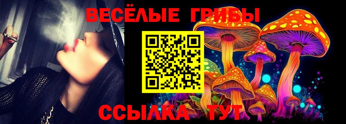 Галлюциногенные грибы MAGIC MUSHROOMS  Вход с VPN  Клинцы 