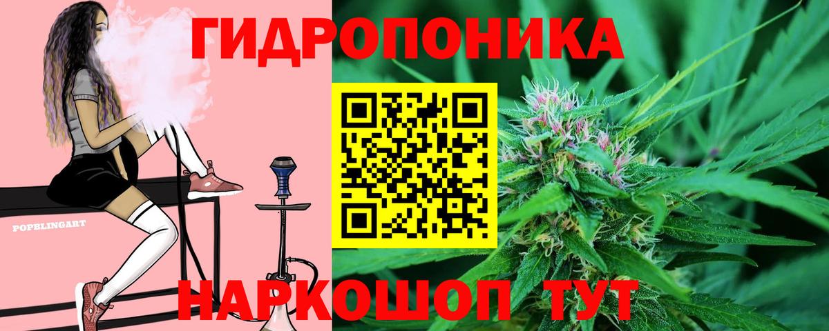 Каннабис ГИДРОПОН Клинцы